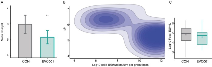 FIG 6 