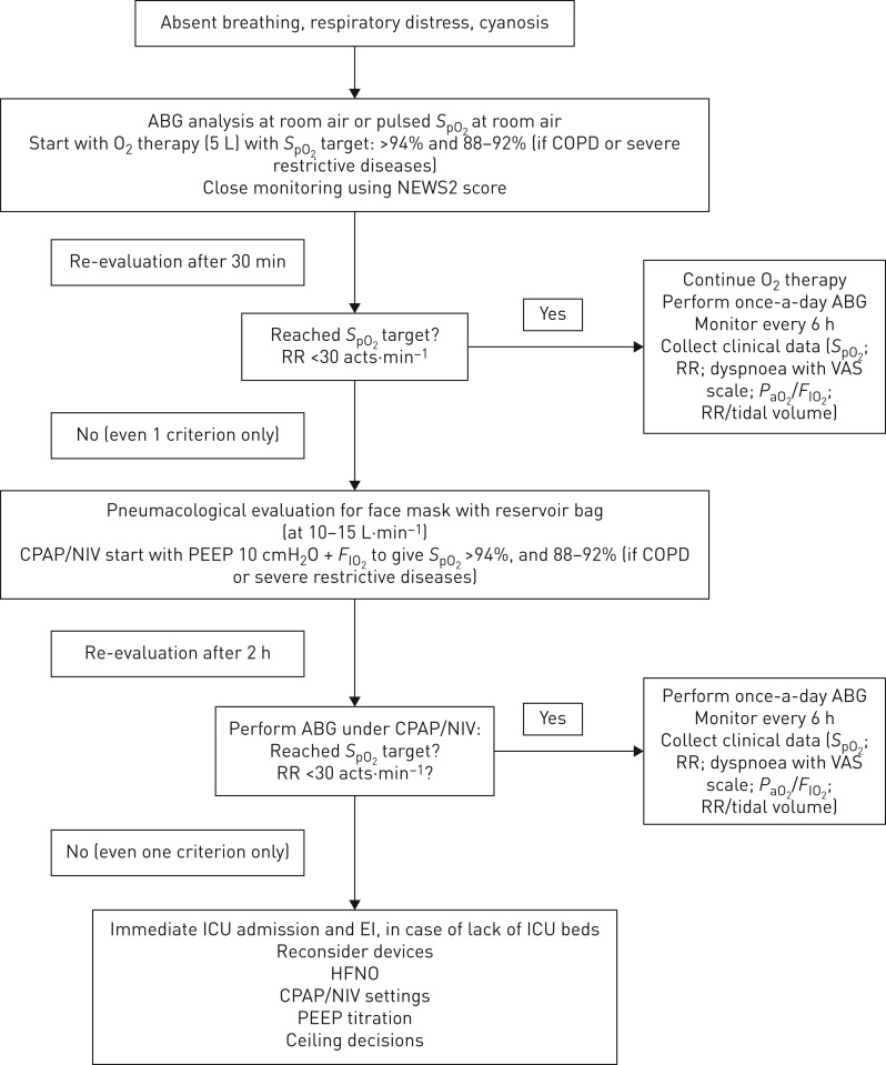 FIGURE 1