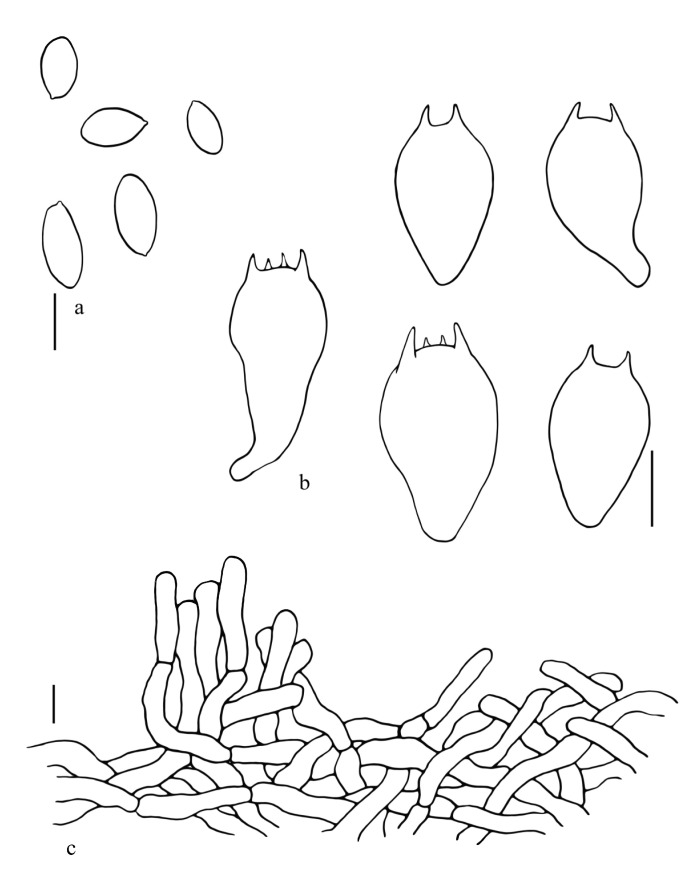 Figure 10