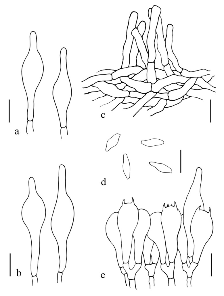 Figure 8