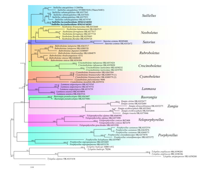 Figure 3