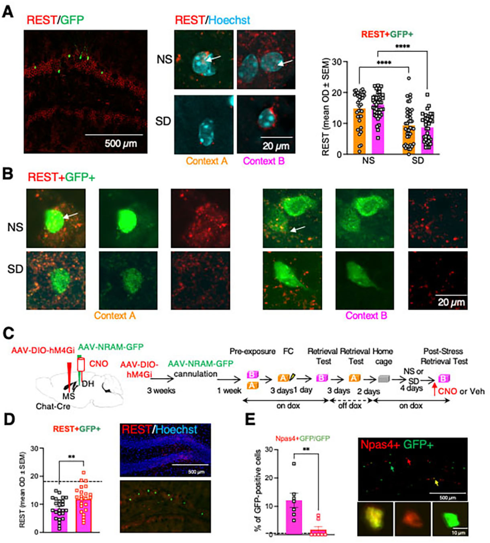 Fig 6: