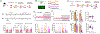 Fig 1: