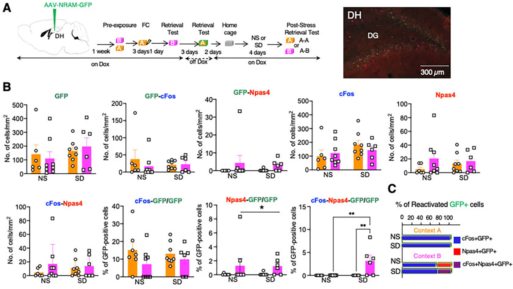 Fig 4: