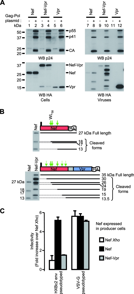 FIG. 3.