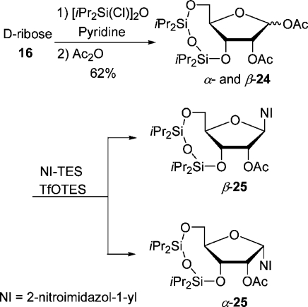 Scheme 8