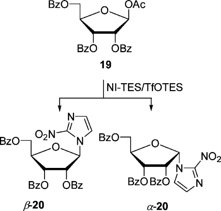 Scheme 5