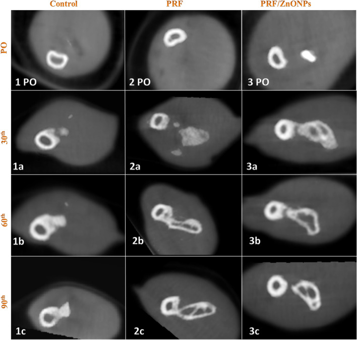 Fig. 5