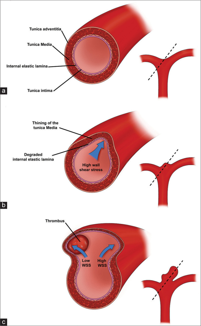 Figure 1: