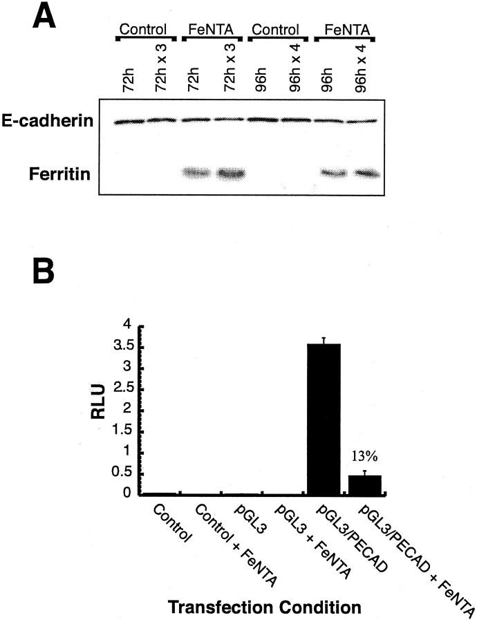 Figure 10.