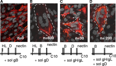 FIG. 4.