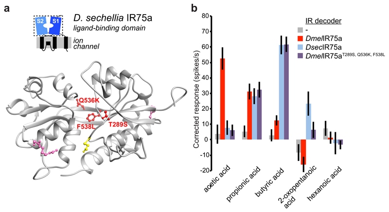 Fig. 4