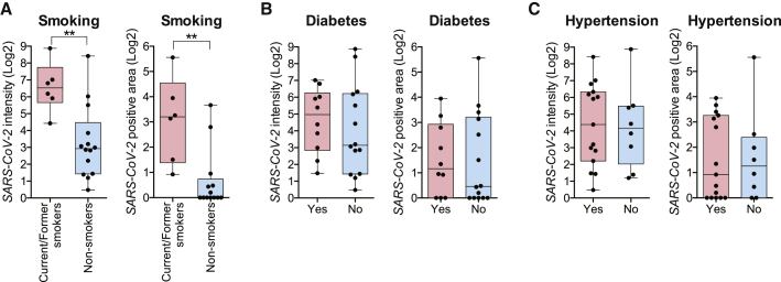 Figure 6