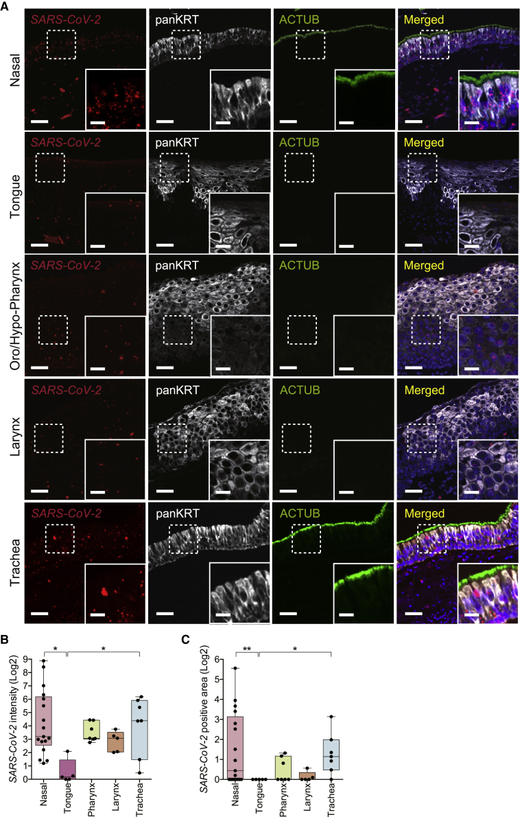 Figure 4