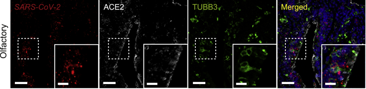 Figure 5