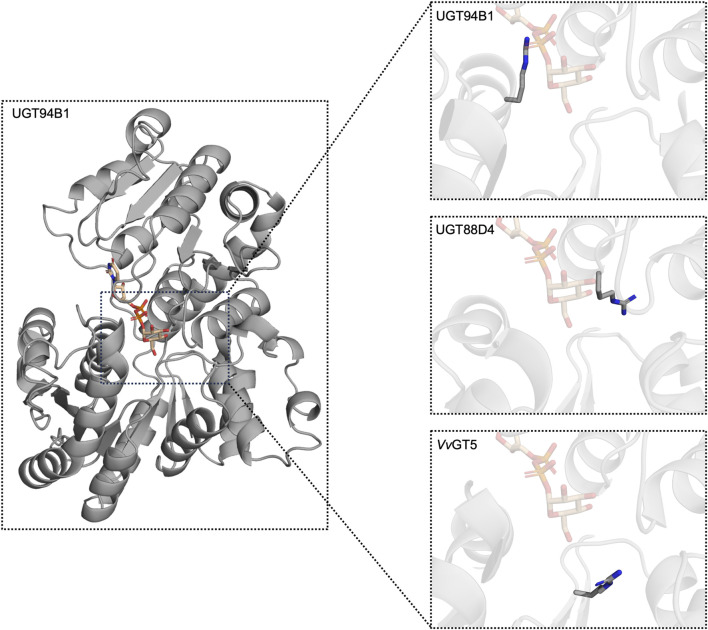 FIGURE 4