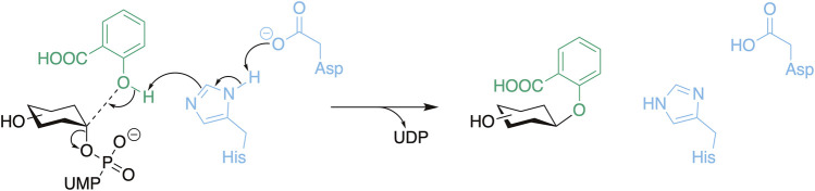 SCHEME 1