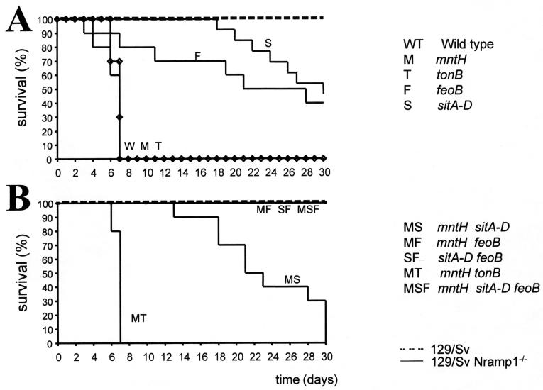 FIG. 2.