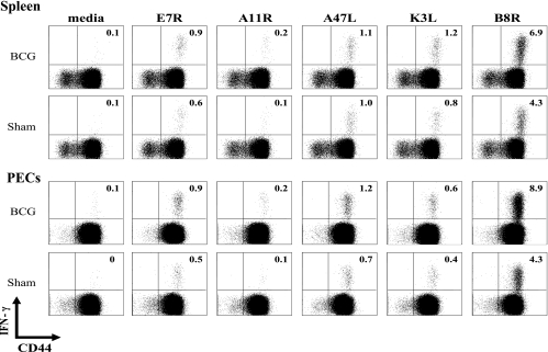 FIG. 6.