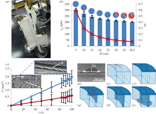 Figure 2.