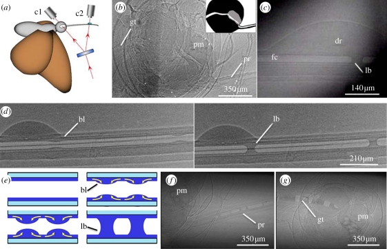 Figure 3.