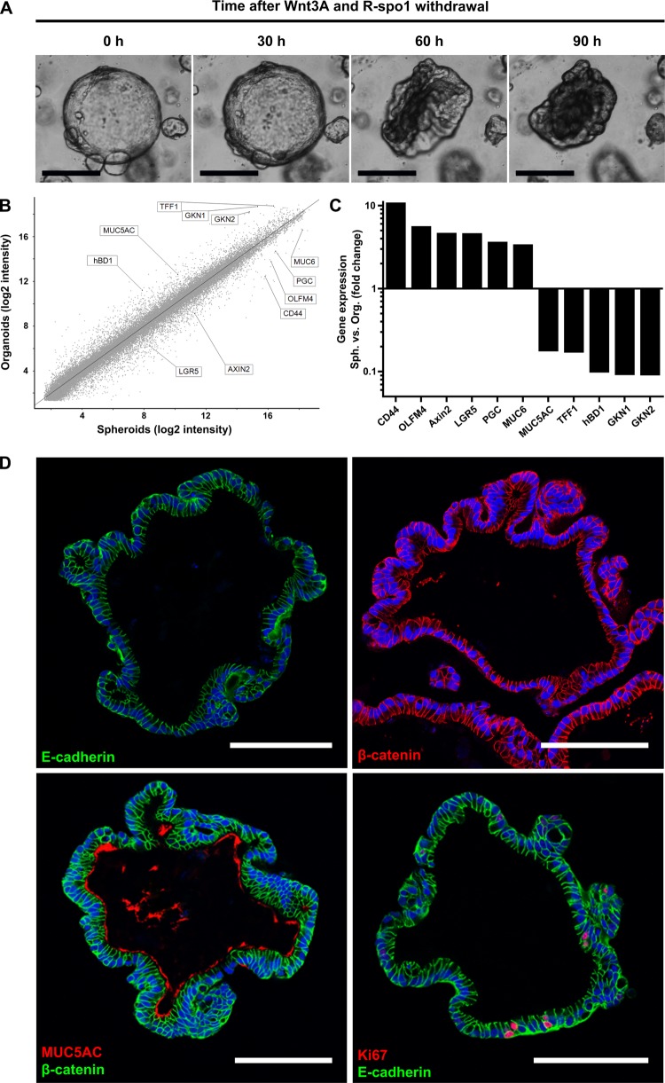 Figure 3