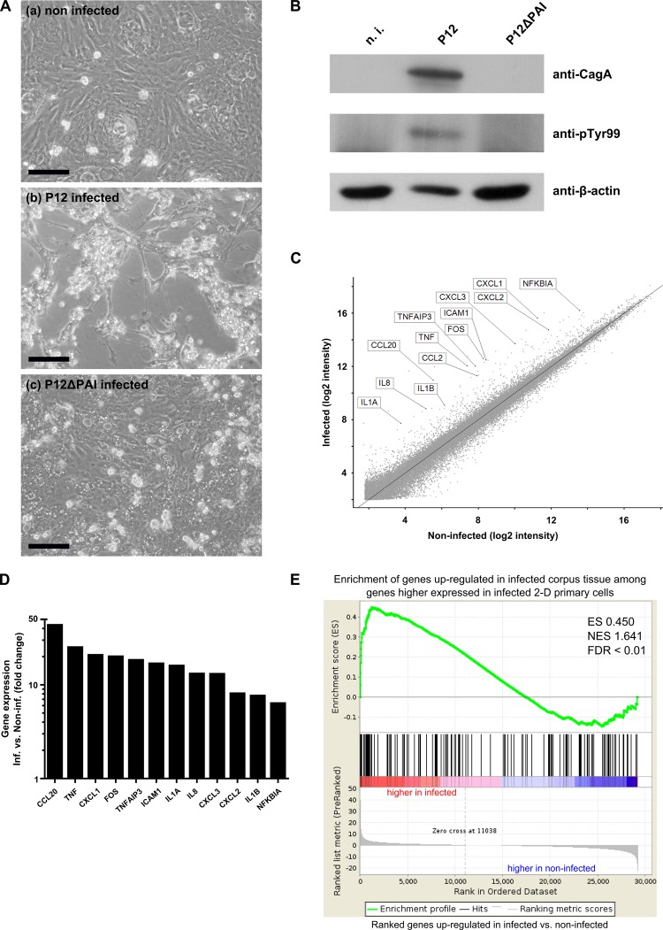 Figure 6