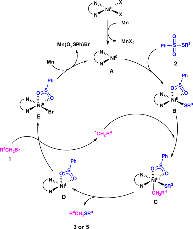 Fig. 5