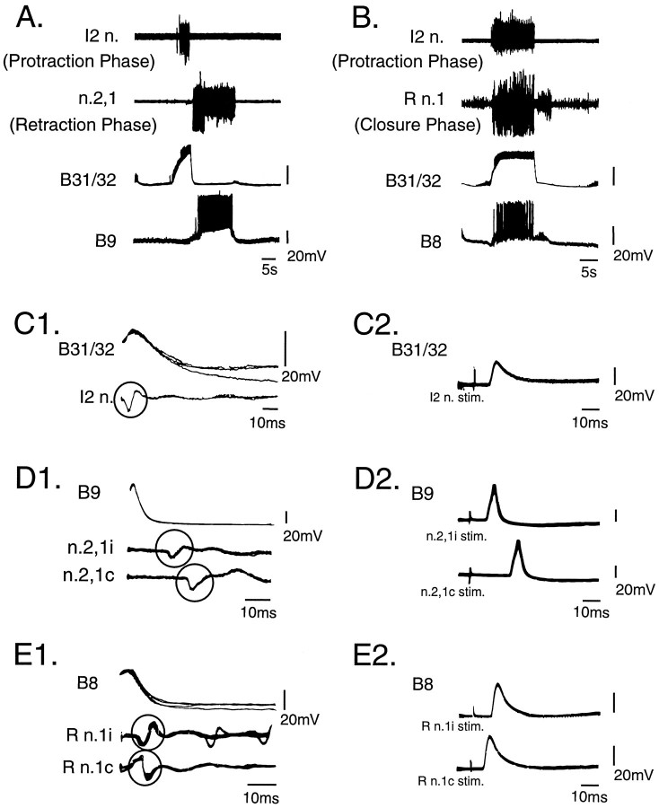 Fig. 3.