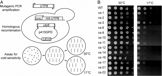 Fig. 3