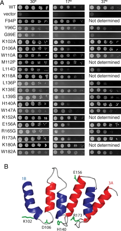 Fig. 4