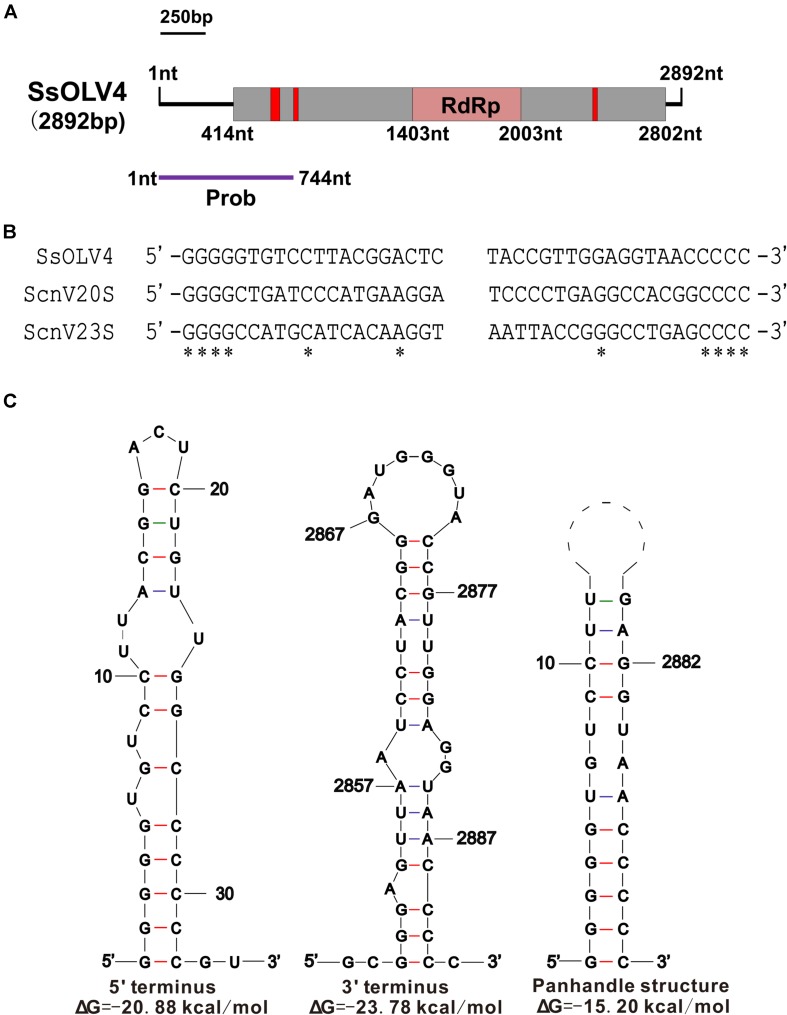 FIGURE 2