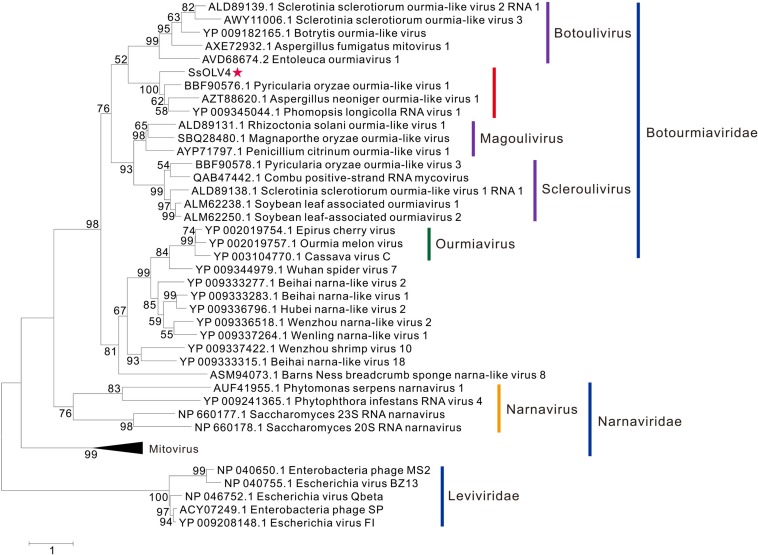 FIGURE 4