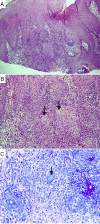 Fig. 2