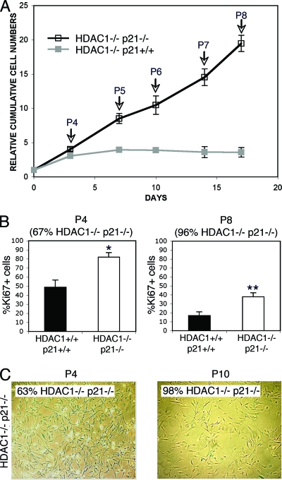 FIG. 8.