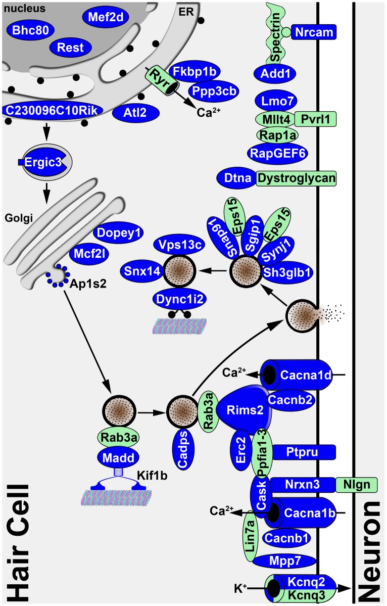 Figure 6