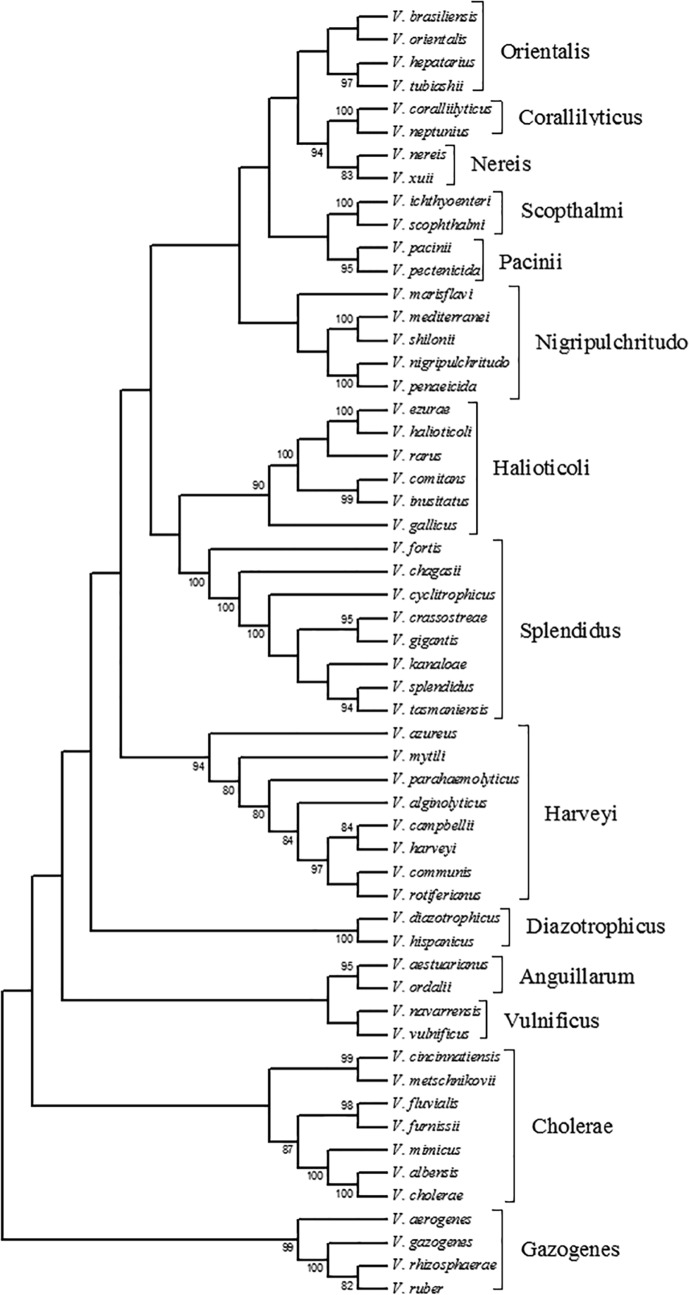 FIG 1