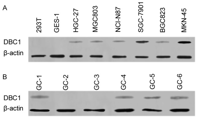 Figure 5.