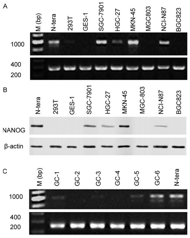 Figure 1.