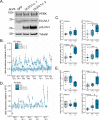 FIG 10