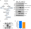 FIG 6