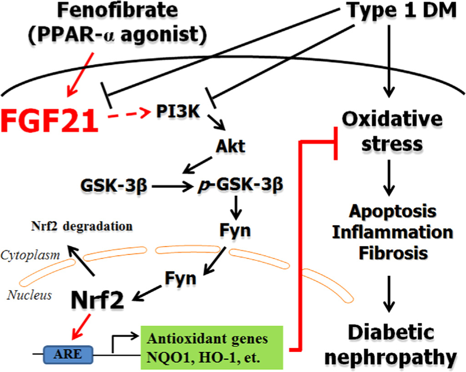 Fig. 10.