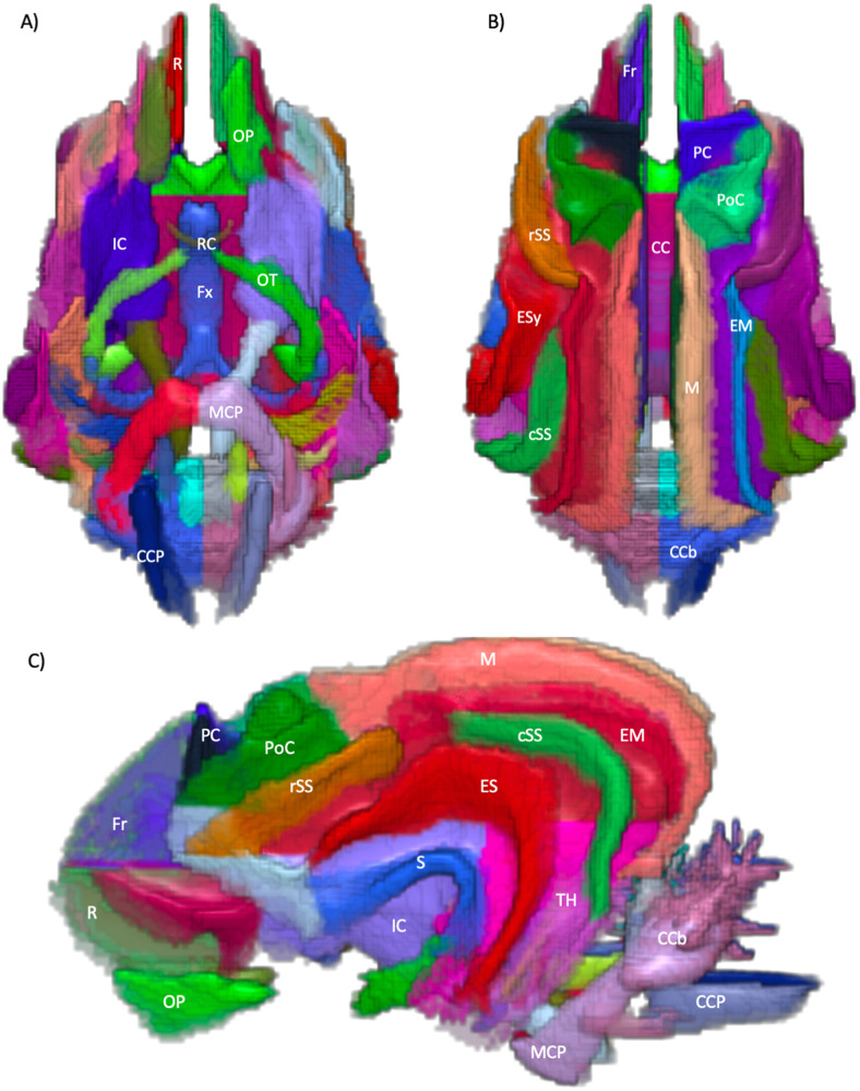 Fig. 2.