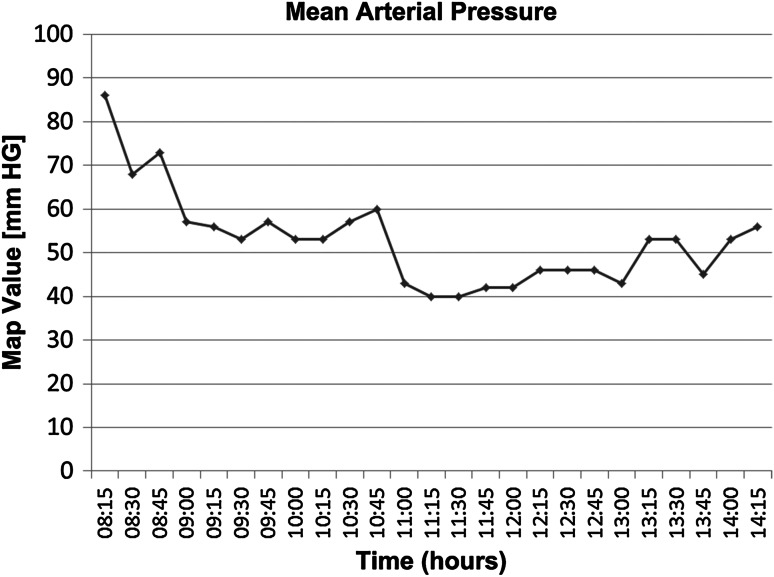 Fig. 1