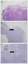 Fig 3.