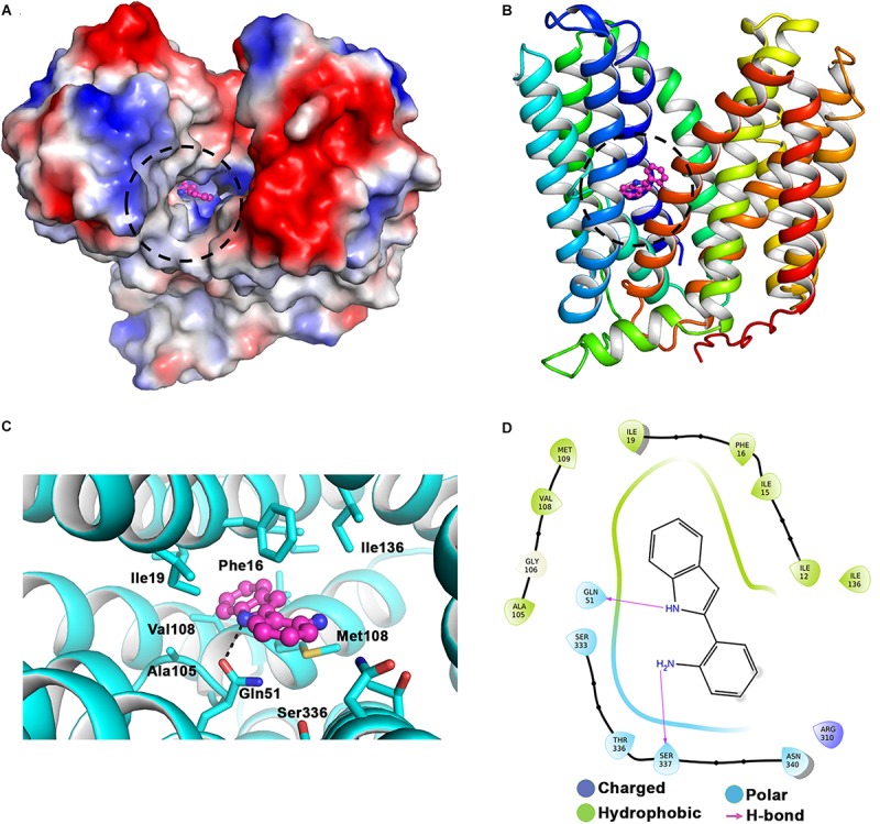 FIGURE 3