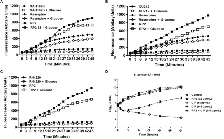 FIGURE 2