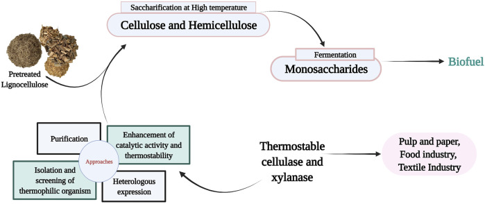 GRAPHICAL ABSTRACT