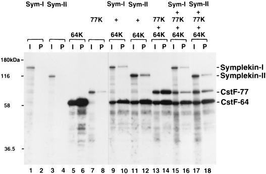 FIG. 5