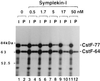 FIG. 6